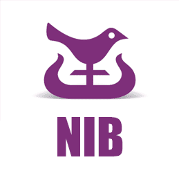 NATIONAL INVESTMENT BANK 1