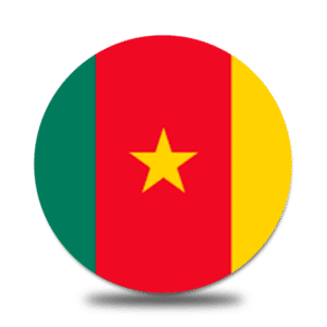 cameroon round flag